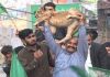 PMLN lion cub