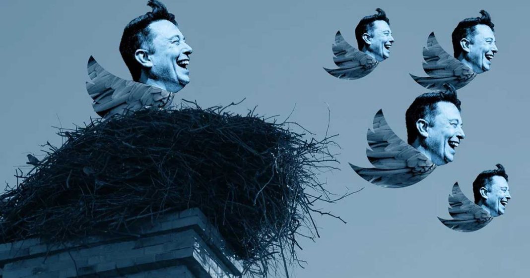 Musk exposes Twitter