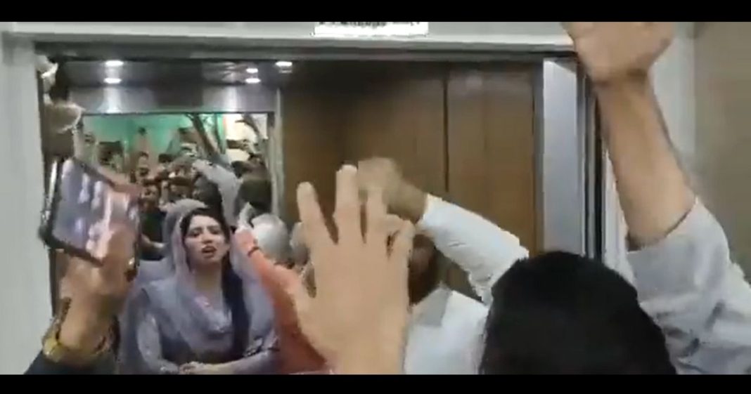 PMLN PTI's parliamentarians