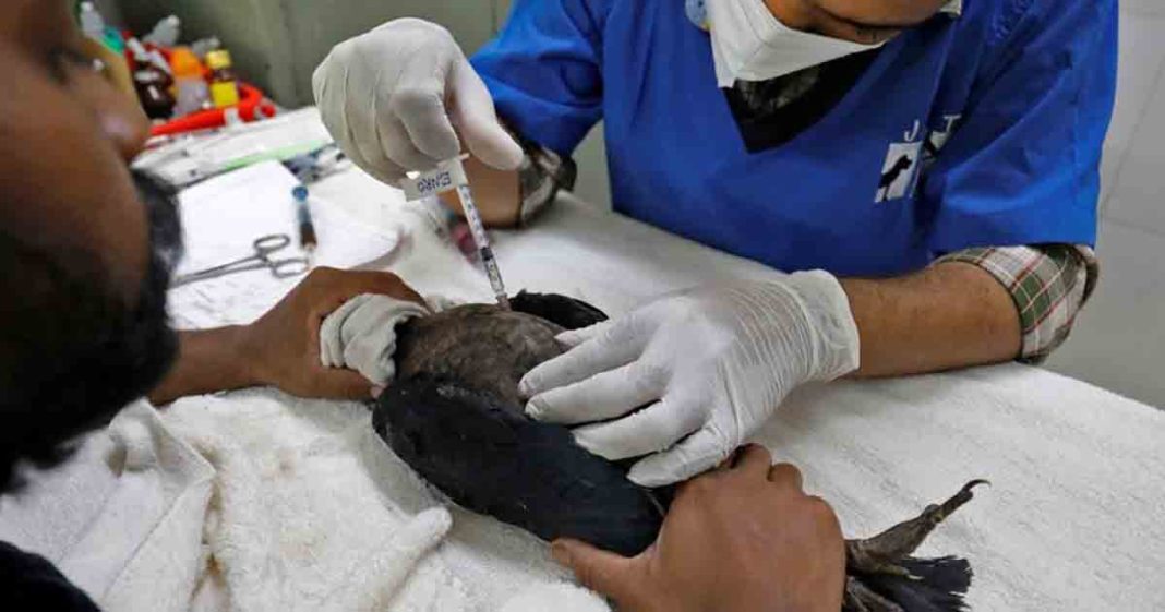 heatwave scorches India