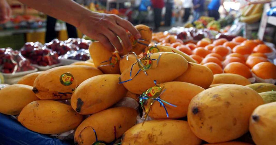 Pakistan dip in mango