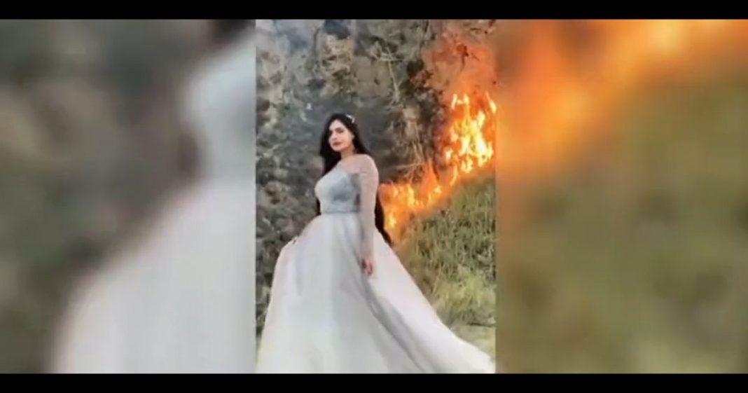 Female TikToker burn trees