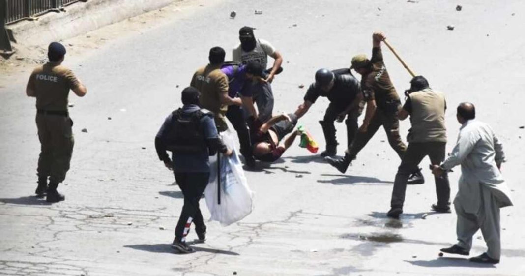 university academics government