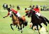 NLC polo tournament