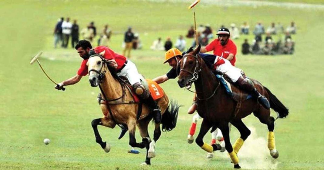 NLC polo tournament