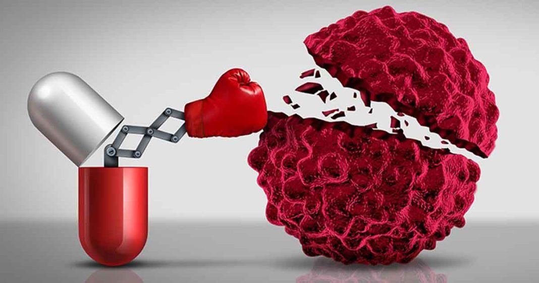 antibody therapies fight cancer