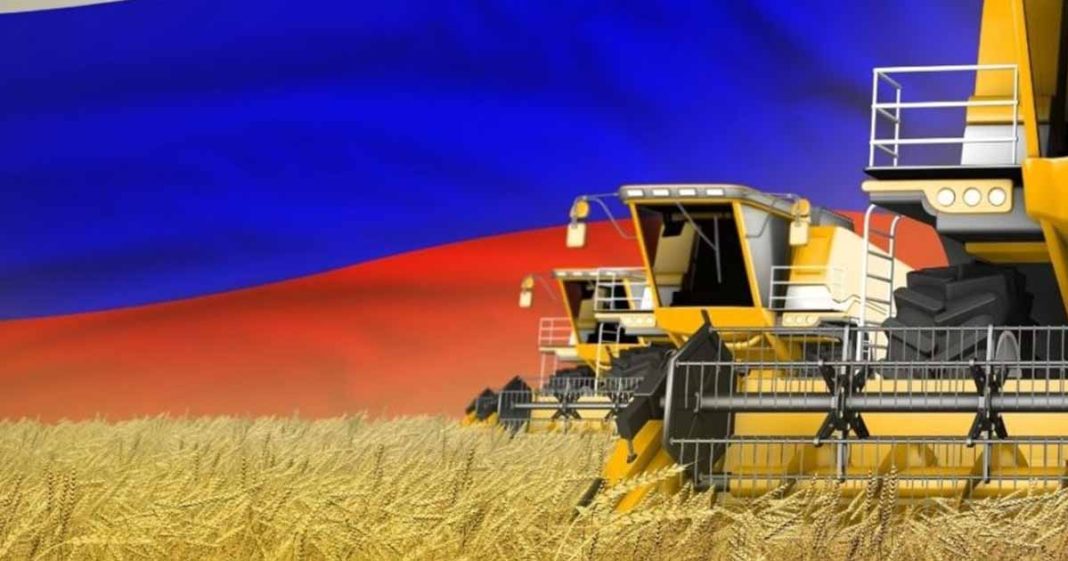 Ukrainian grain can be exported