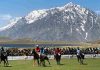 NLC Shandur Polo Festival