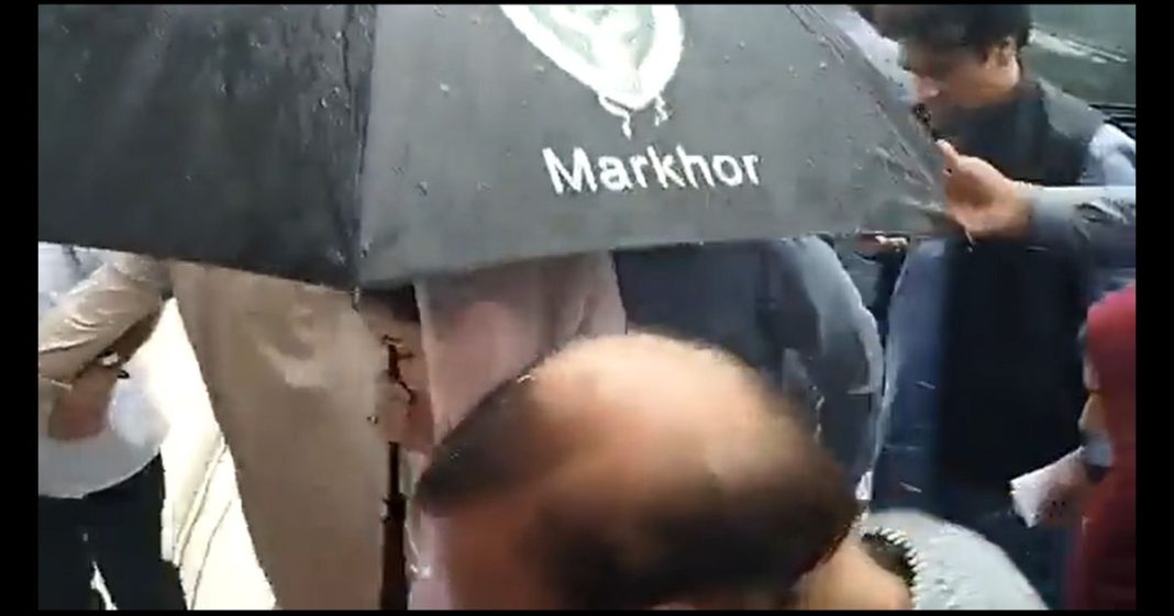 Markhor Maryam Nawaz