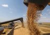 Russia China grain crisis