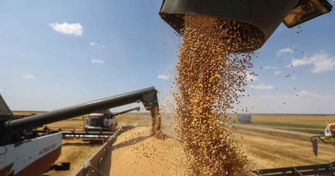 Russia China grain crisis