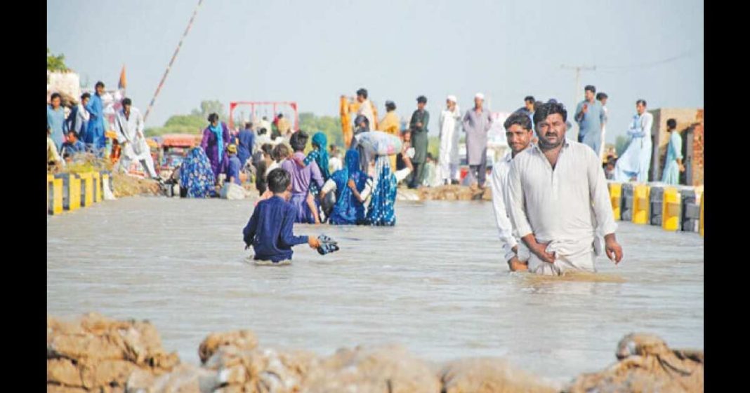 Manzoor Wassan Venice