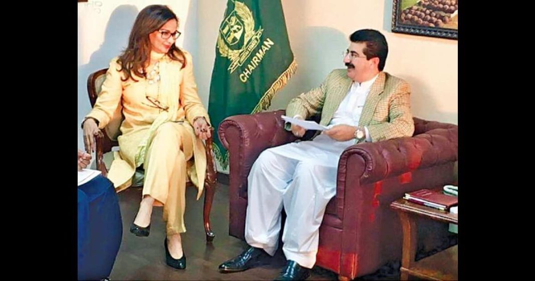 Sherry Rehman granny