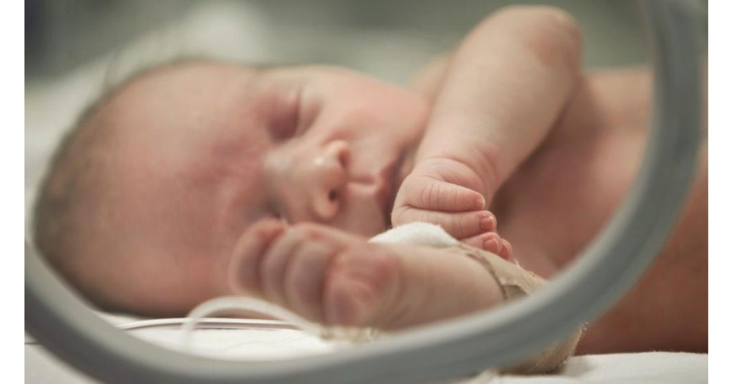 Muhammad popular name Netherlands