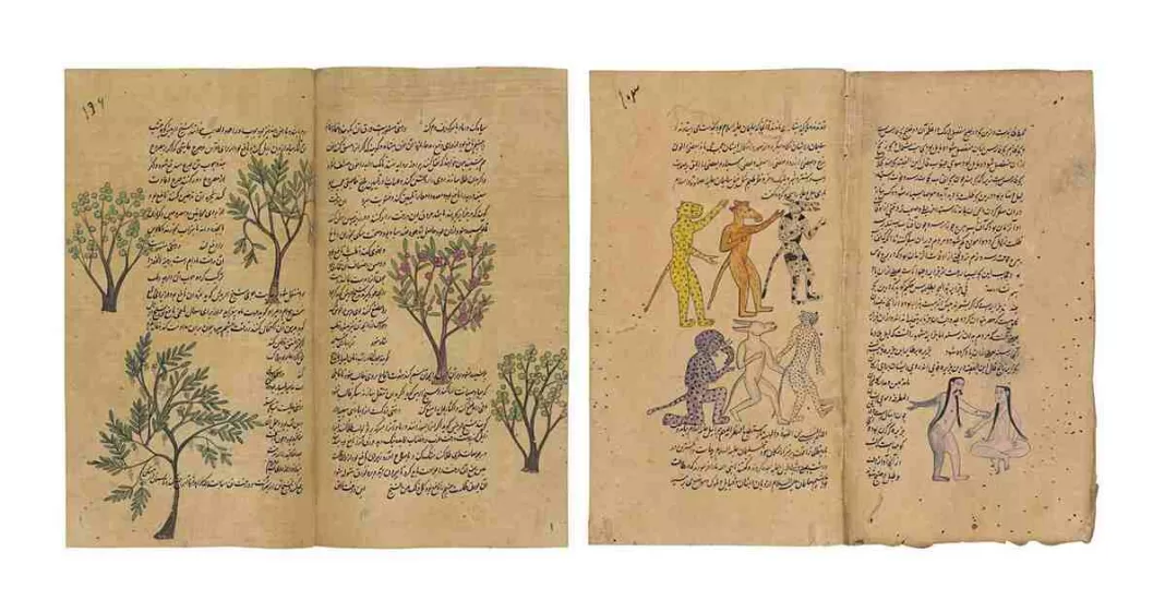 Rediscovering Zakariyya