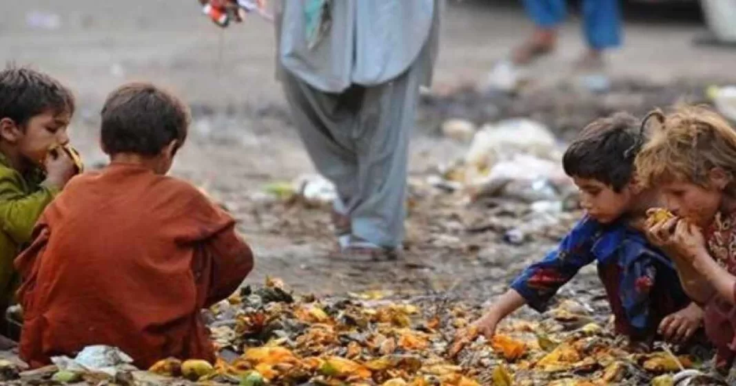 Pakistan food waste