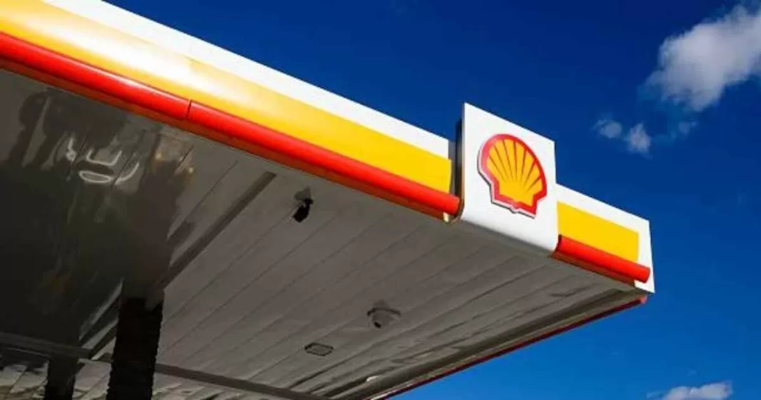 Shell CEO Warns of Dangerous Consequences of Cutting Oil and Gas Production