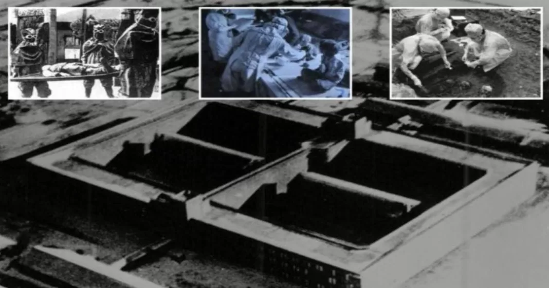 Shocking Discovery of WWII Horror Bunker