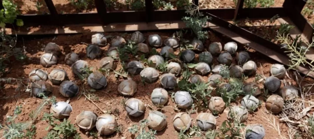 Germany Storing and Shipping US Cluster Munitions to Ukraine