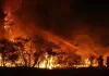 Greece Battles Wildfires Fueled by Strong Winds and Dry Conditions