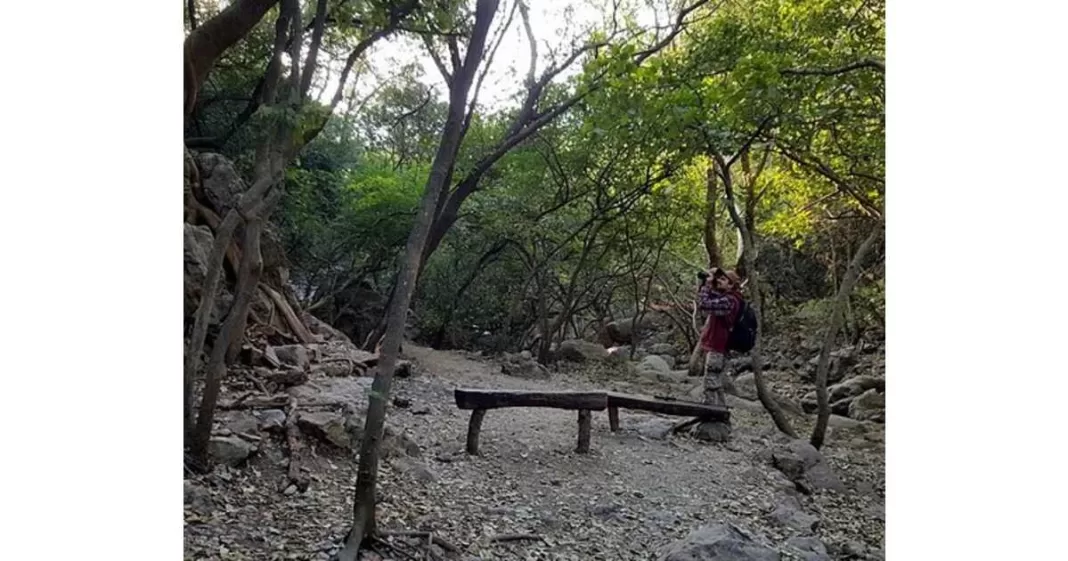 Woman raped Islamabad