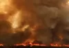 Devastating wildfire