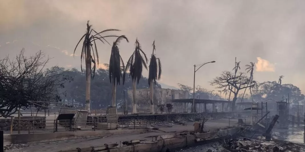 Devastating Wildfire Engulfs Maui, Hawaii: Tourists Flee in Panic