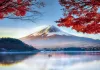 Japan’s Mount Fuji sees snow for first time this winter, 21 days later than usual MOUNT FUJI