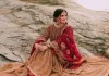 Anmol Mehmood dress