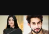 Sarah Khan, Bilal Abbas Unite for Indian Series