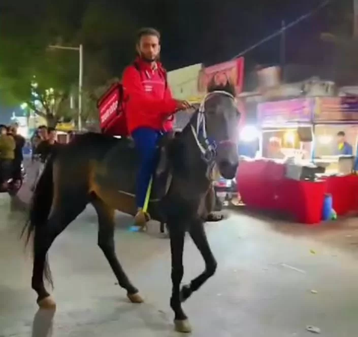 Why This Indian Delivery Boy Ditched his Bike for a Horse