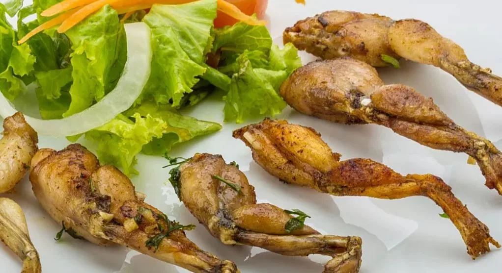 EU's Voracious Appetite for Frog Legs Threatens Global Amphibian Populations