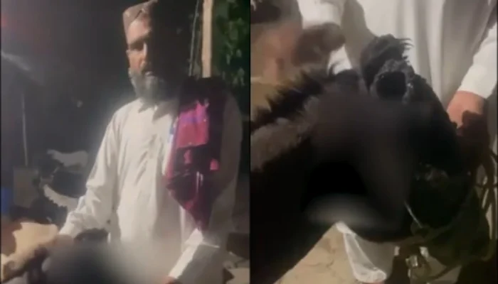 Rawalpindi man chops off female donkey's ears