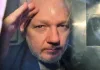 WikiLeaks' Julian Assange to admit violating Espionage Act