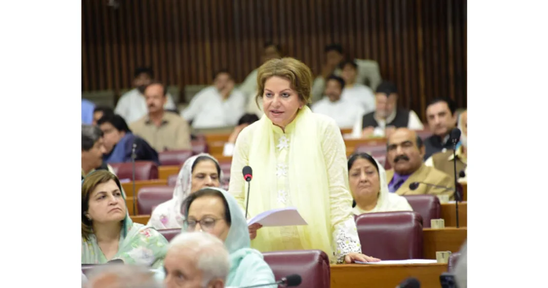 National Assembly US House