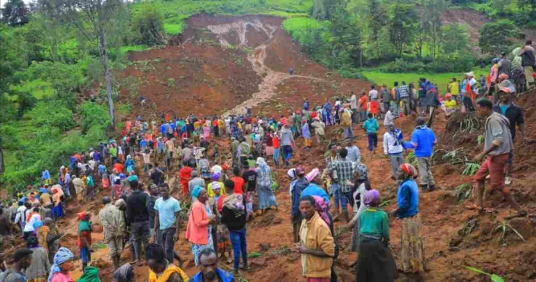 Devastating mudslides