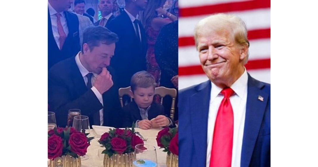 Elon Musk Donald Trump