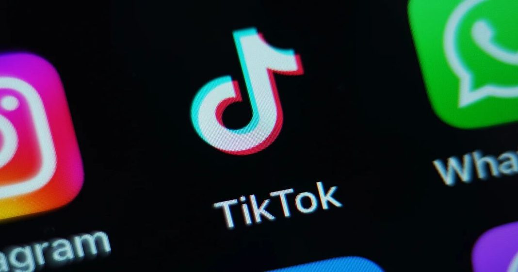 TikTok introduces