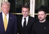 Zelensky rejects Trump’s call for peace