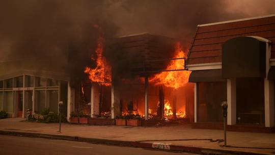 Wildfire ravages affluent LA neighborhood
