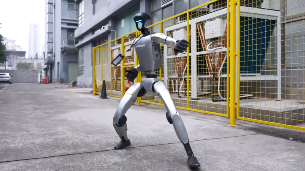 humanoid robot perform kung fu