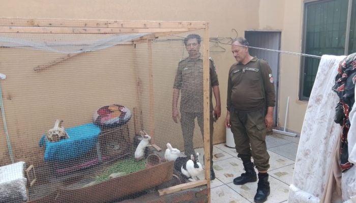 Lahore woman uploads horrific content to social media