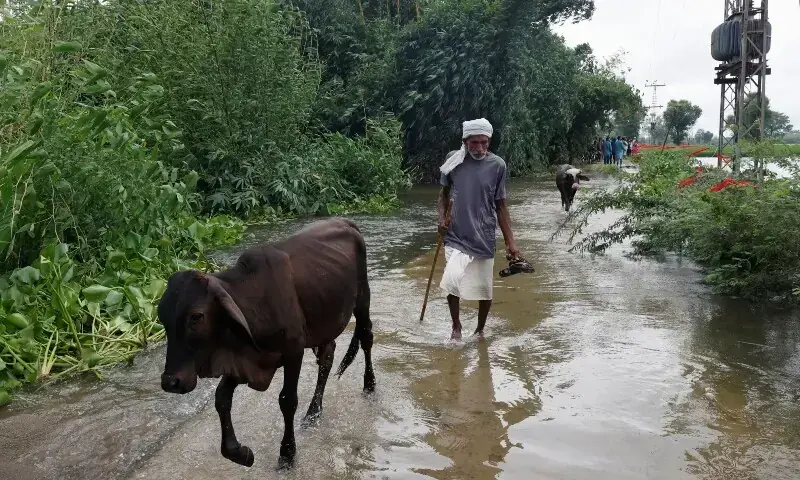 Pakistan flood 1988
