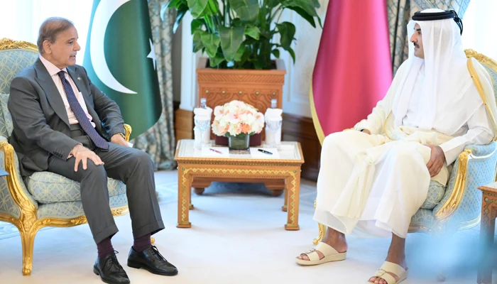 PM calls for end to Israel's 'brazen aggression', seeks united Ummah in meeting with Qatari emir