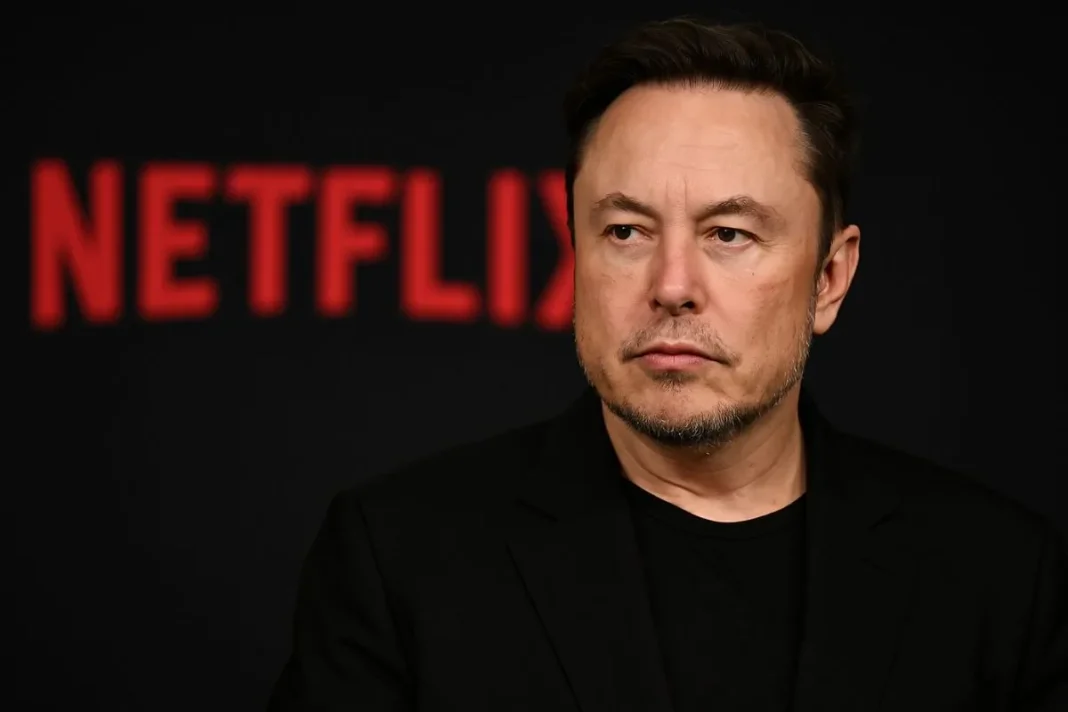 elon musk/netflix