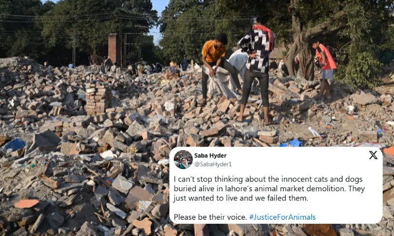 Outrage Erupts After Lahore Development Authority Demolishes Pet Market Near Data Darbar, Killing Dozens of Animals