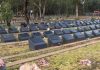 Pig heads left at Muslim cemetery in Sydney (PHOTO) Pig heads left at Muslim cemetery in Sydney (PHOTO)