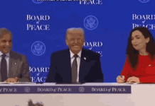 PM Shehbaz, other global leaders sign Trump-led Board of Peace charter PM Shehbaz, other global leaders sign Trump-led Board of Peace charter