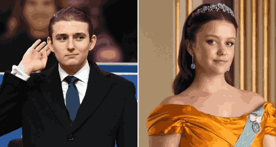 Post about marrying off Barron Trump to a Danish princess to resolve Greenland row gets bizarre viral support