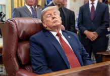 Trump blames boredom, not sleep, for closed eyes during cabinet meeting trump sleeping